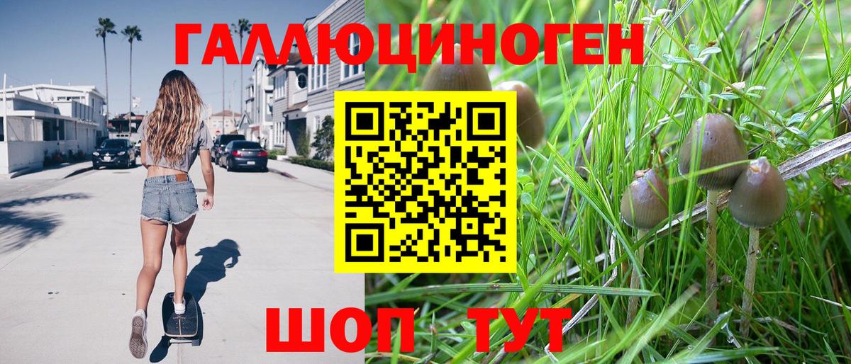 Галлюциногенные грибы GOLDEN TEACHER Тамбов